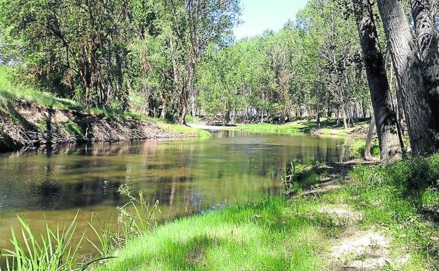 El río Eresma, a su paso por Navas de Oro. 