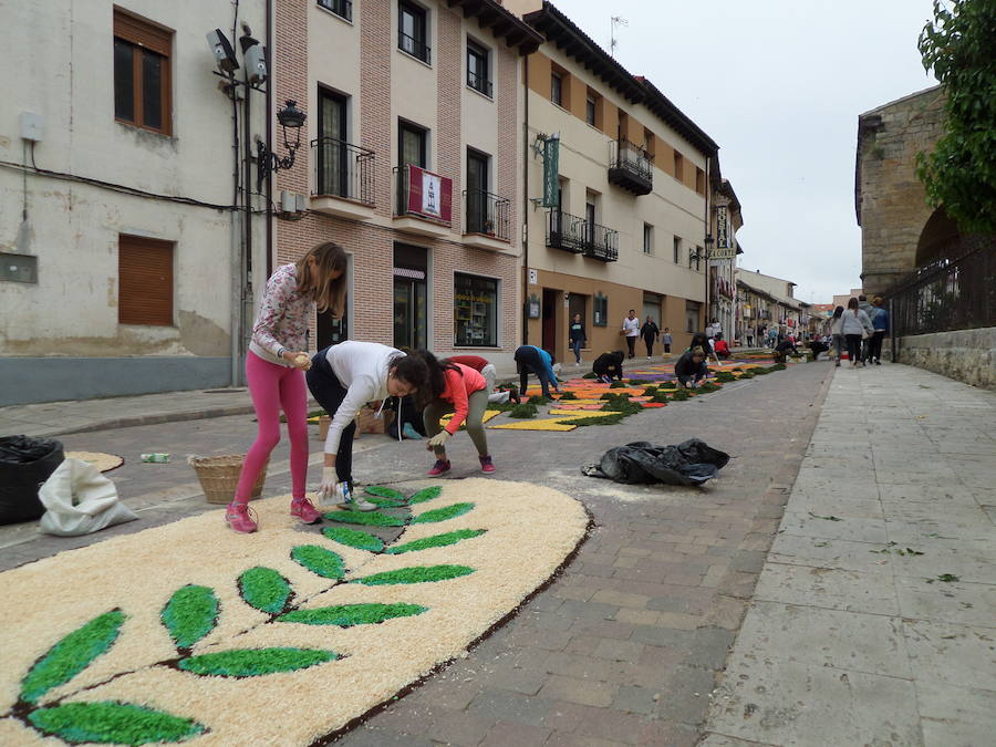 Fotos: Corpus Christi en Carrión