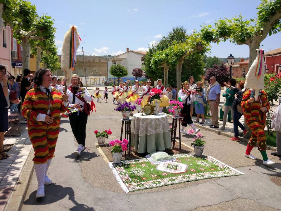 Fotos: El Corpus en Cevico de la Torre y Baltanás