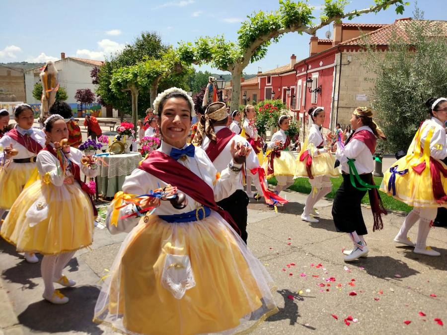 Fotos: El Corpus en Cevico de la Torre y Baltanás
