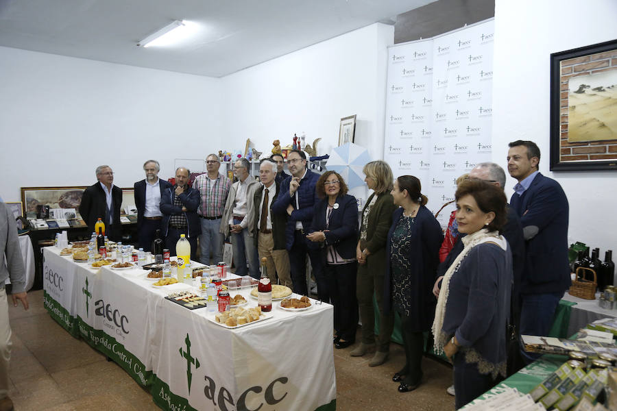 Fotos: XVI Mercadillo Solidario de la AECC de Palencia