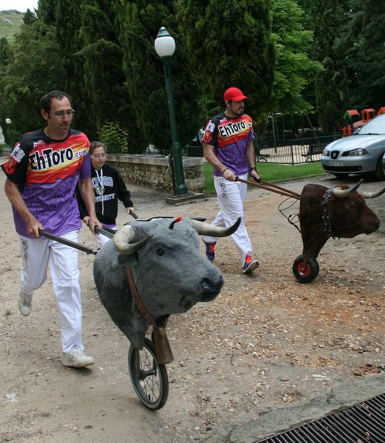 Fotos: Día de la Provincia en Cuéllar