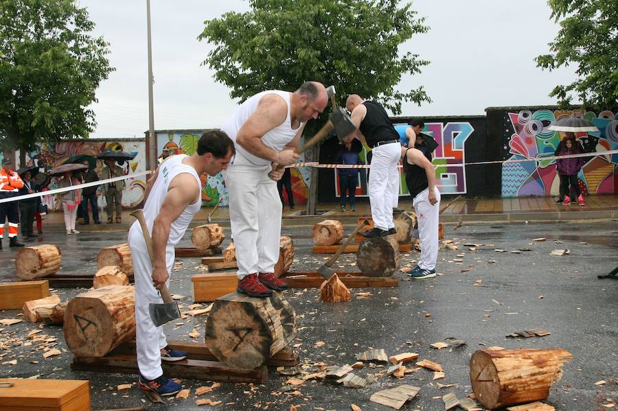 Fotos: Día de la Provincia en Cuéllar