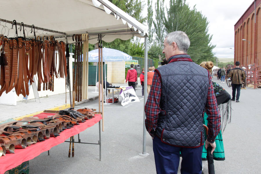 Fotos: Feria Agroganadera de Alba de Tormes