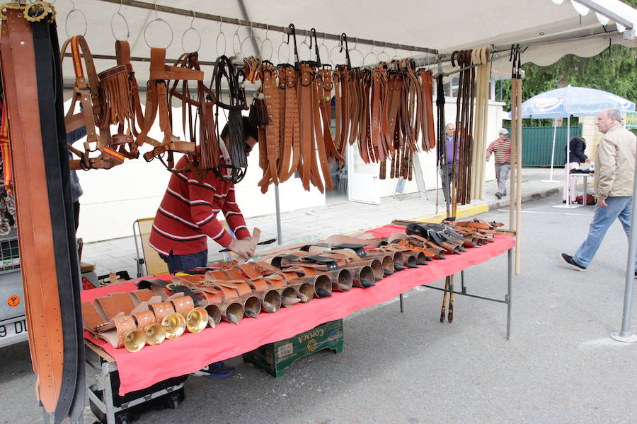 Fotos: Feria Agroganadera de Alba de Tormes