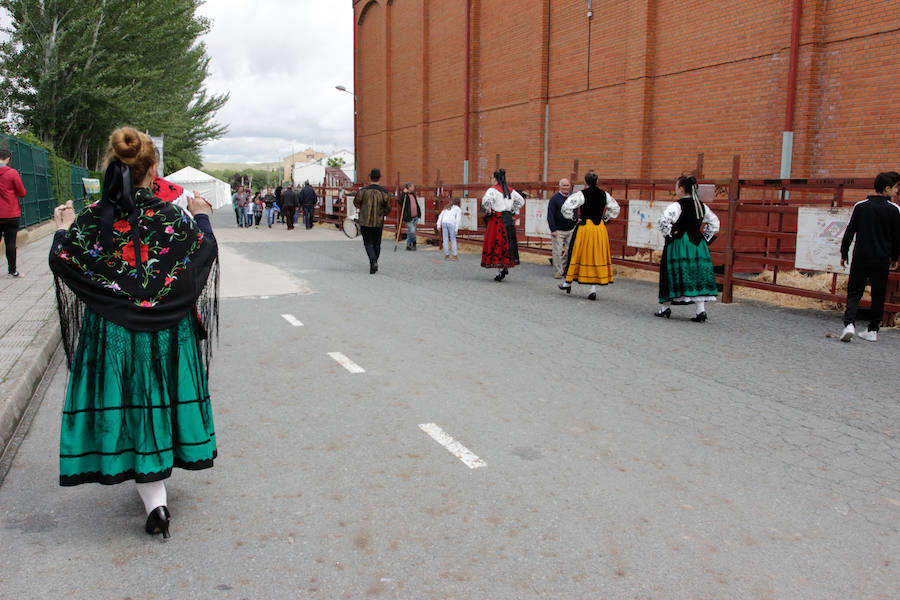 Fotos: Feria Agroganadera de Alba de Tormes