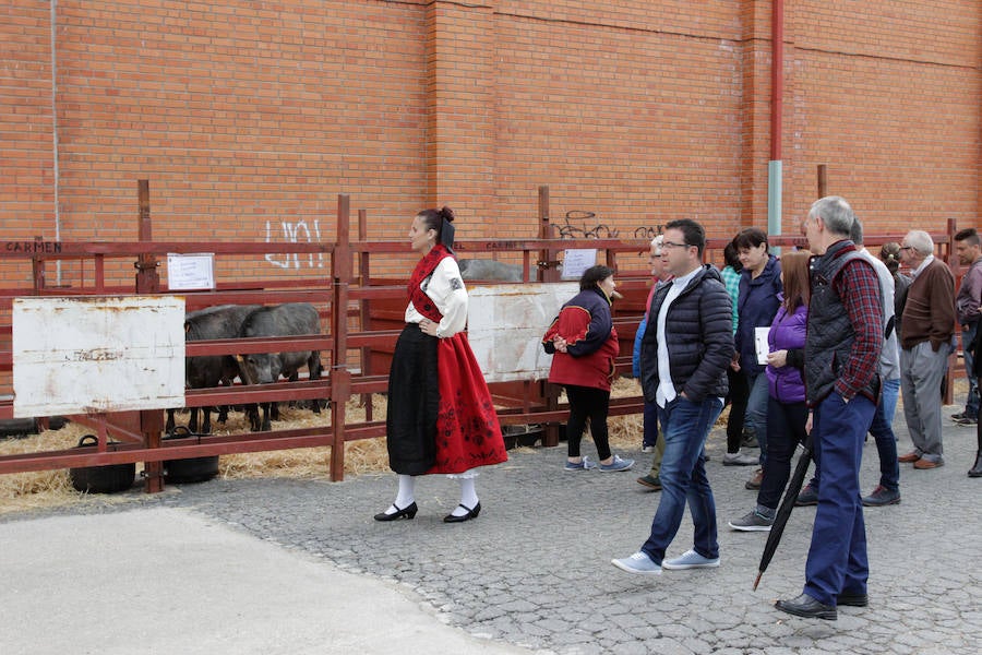 Fotos: Feria Agroganadera de Alba de Tormes