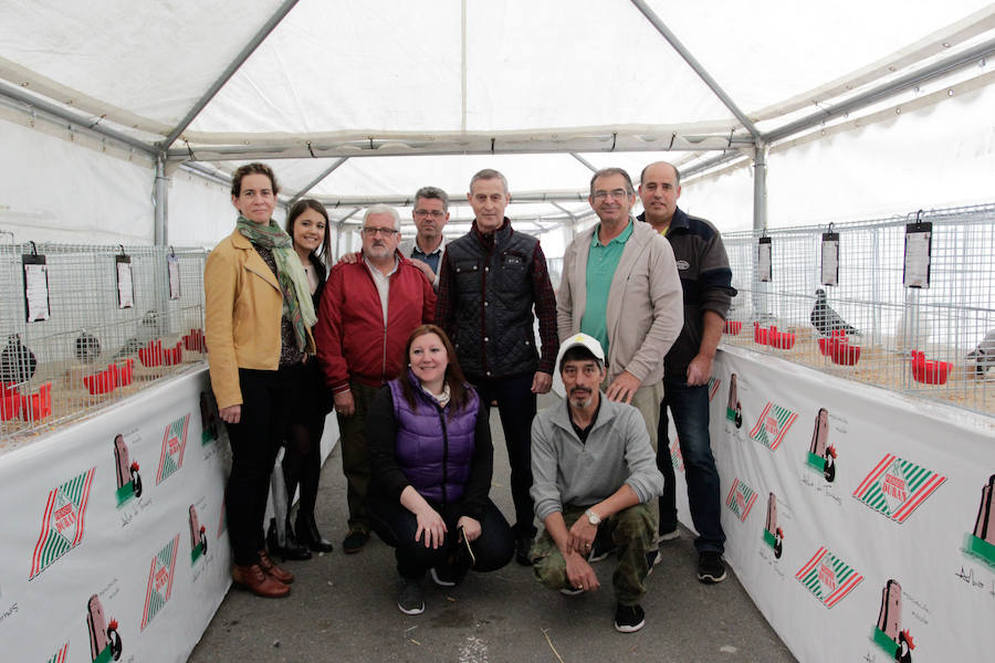 Fotos: Feria Agroganadera de Alba de Tormes