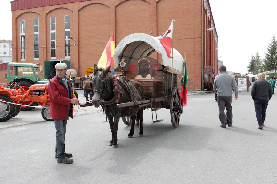Fotos: Feria Agroganadera de Alba de Tormes
