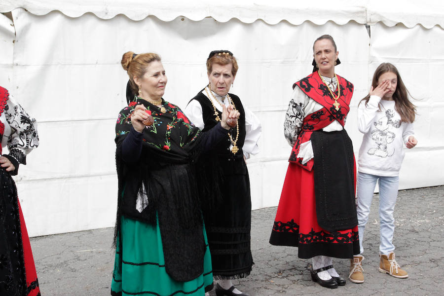 Fotos: Feria Agroganadera de Alba de Tormes