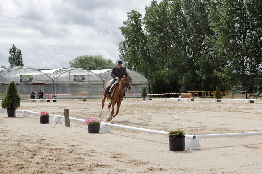 Fotos: Feria Agroganadera de Alba de Tormes