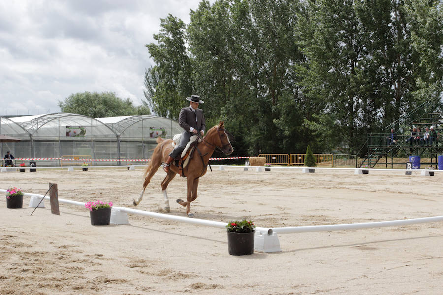 Fotos: Feria Agroganadera de Alba de Tormes