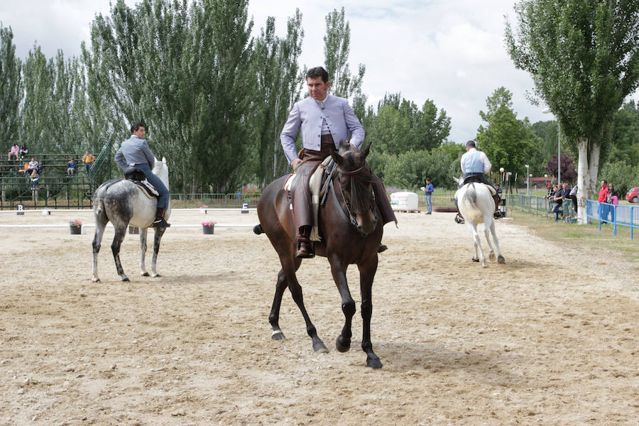 Fotos: Feria Agroganadera de Alba de Tormes