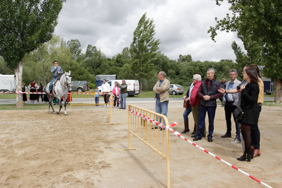 Fotos: Feria Agroganadera de Alba de Tormes