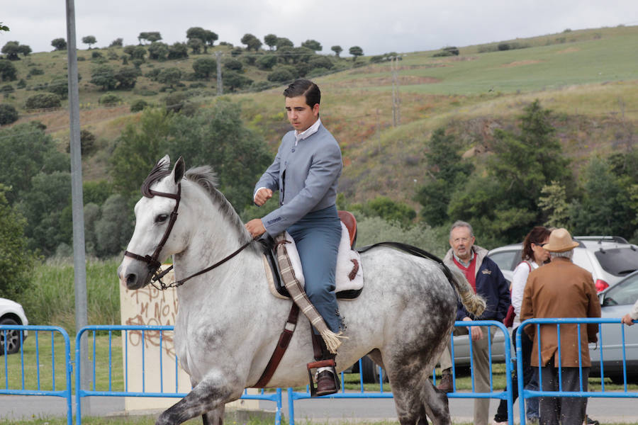Fotos: Feria Agroganadera de Alba de Tormes