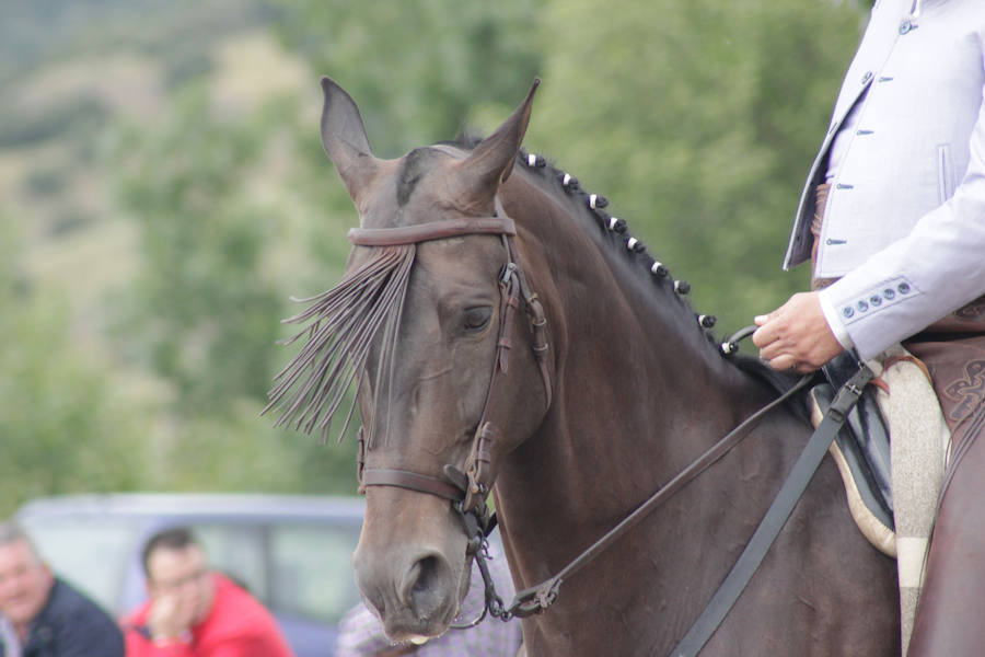 Fotos: Feria Agroganadera de Alba de Tormes