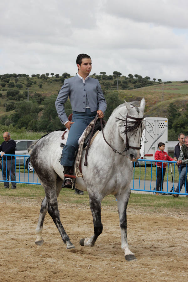 Fotos: Feria Agroganadera de Alba de Tormes