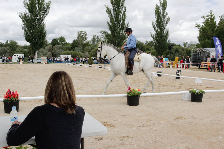 Fotos: Feria Agroganadera de Alba de Tormes