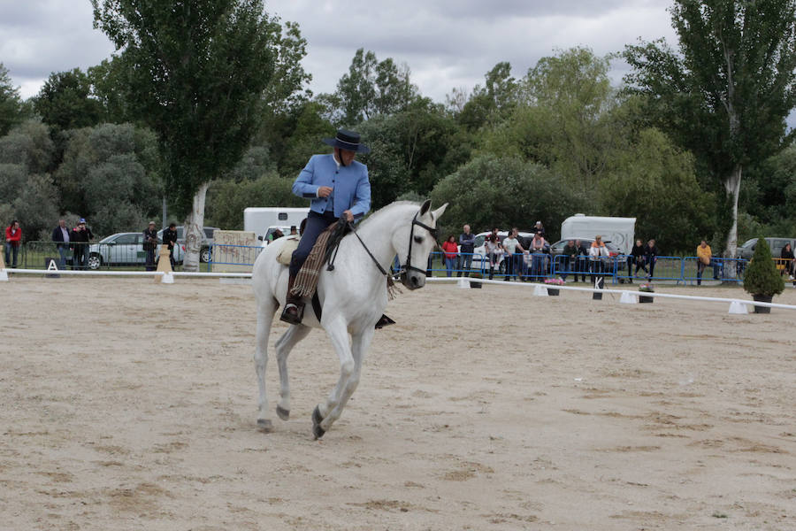 Fotos: Feria Agroganadera de Alba de Tormes