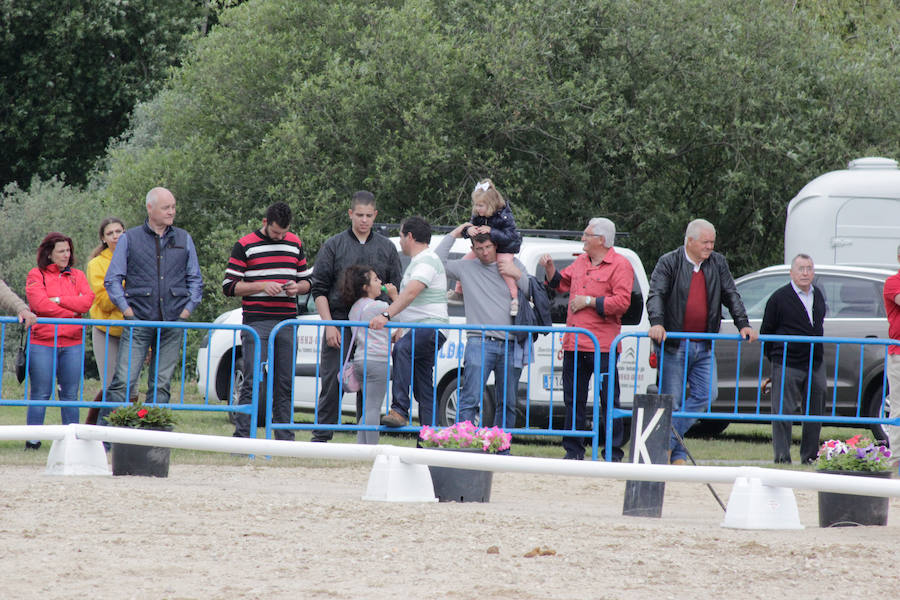 Fotos: Feria Agroganadera de Alba de Tormes