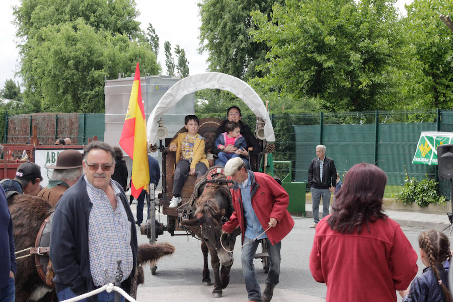 Fotos: Feria Agroganadera de Alba de Tormes