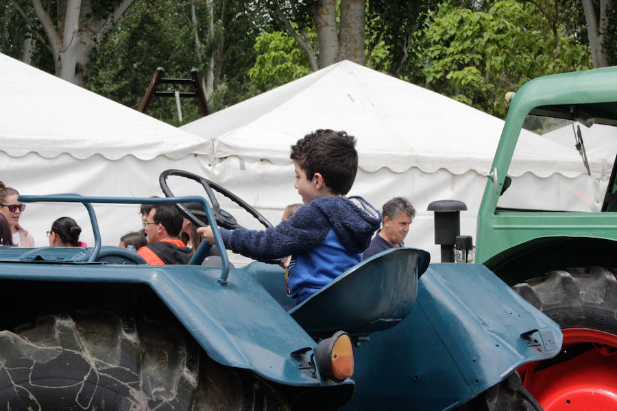 Fotos: Feria Agroganadera de Alba de Tormes