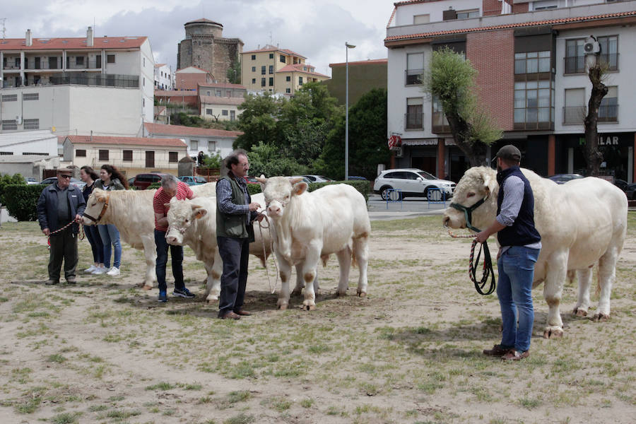 Fotos: Feria Agroganadera de Alba de Tormes
