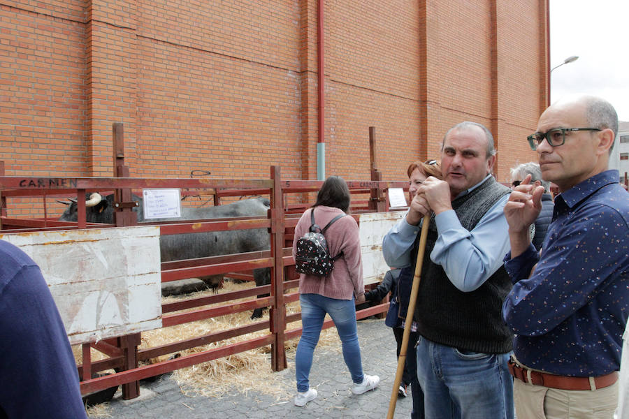 El mayor número de cabezas de ganado y de visitantes animan al alcalde a seguir apostando por un evento «que cada año ha ido a más»