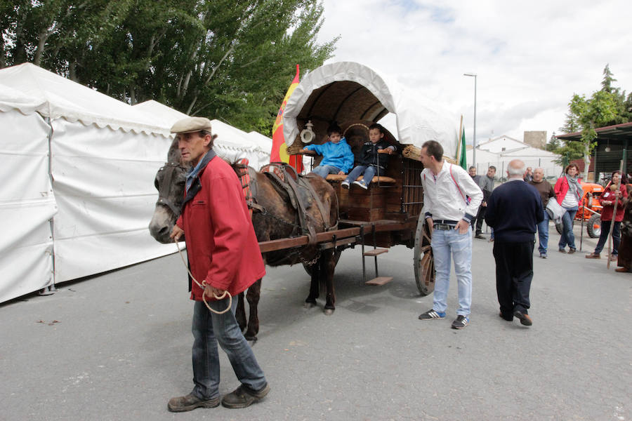 El mayor número de cabezas de ganado y de visitantes animan al alcalde a seguir apostando por un evento «que cada año ha ido a más»