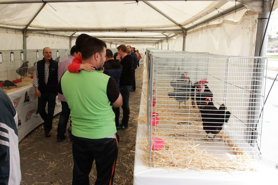 El mayor número de cabezas de ganado y de visitantes animan al alcalde a seguir apostando por un evento «que cada año ha ido a más»