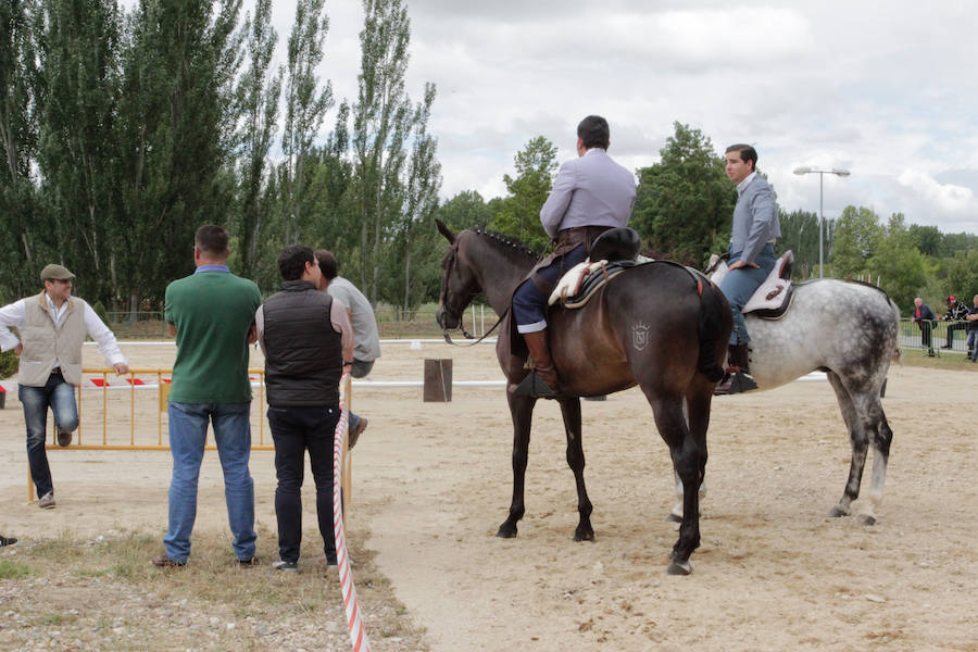 El mayor número de cabezas de ganado y de visitantes animan al alcalde a seguir apostando por un evento «que cada año ha ido a más»