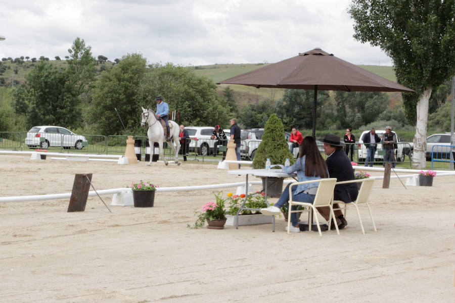 El mayor número de cabezas de ganado y de visitantes animan al alcalde a seguir apostando por un evento «que cada año ha ido a más»