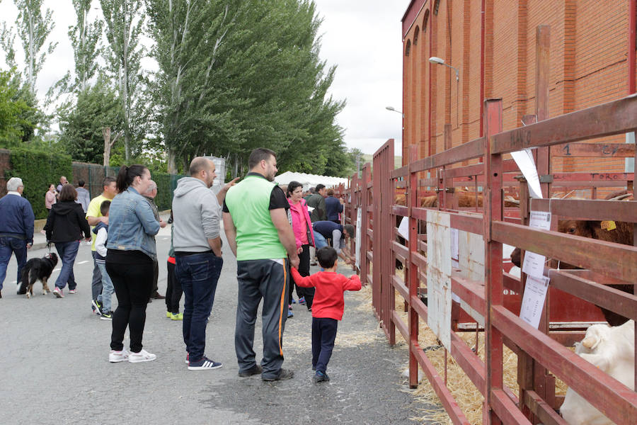 El mayor número de cabezas de ganado y de visitantes animan al alcalde a seguir apostando por un evento «que cada año ha ido a más»