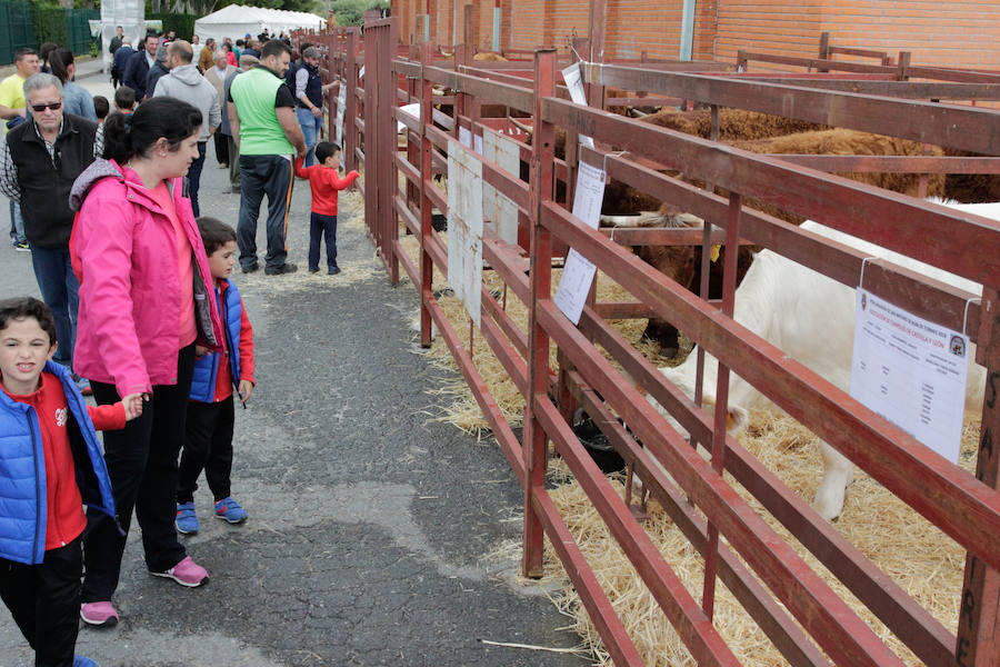 El mayor número de cabezas de ganado y de visitantes animan al alcalde a seguir apostando por un evento «que cada año ha ido a más»