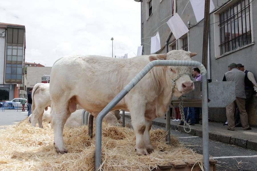 El mayor número de cabezas de ganado y de visitantes animan al alcalde a seguir apostando por un evento «que cada año ha ido a más»