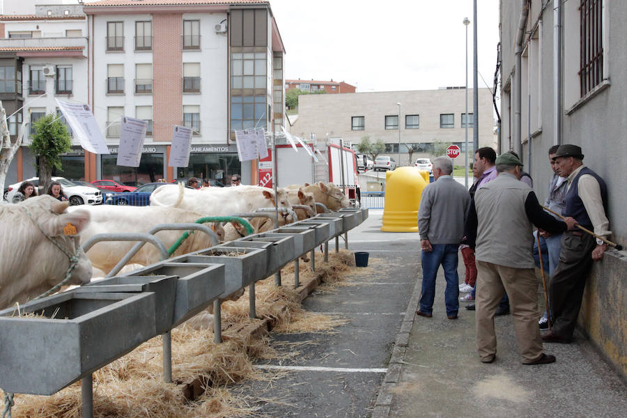 El mayor número de cabezas de ganado y de visitantes animan al alcalde a seguir apostando por un evento «que cada año ha ido a más»