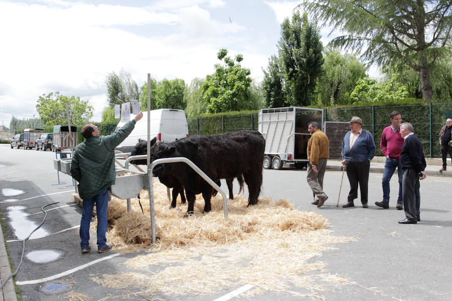 El mayor número de cabezas de ganado y de visitantes animan al alcalde a seguir apostando por un evento «que cada año ha ido a más»