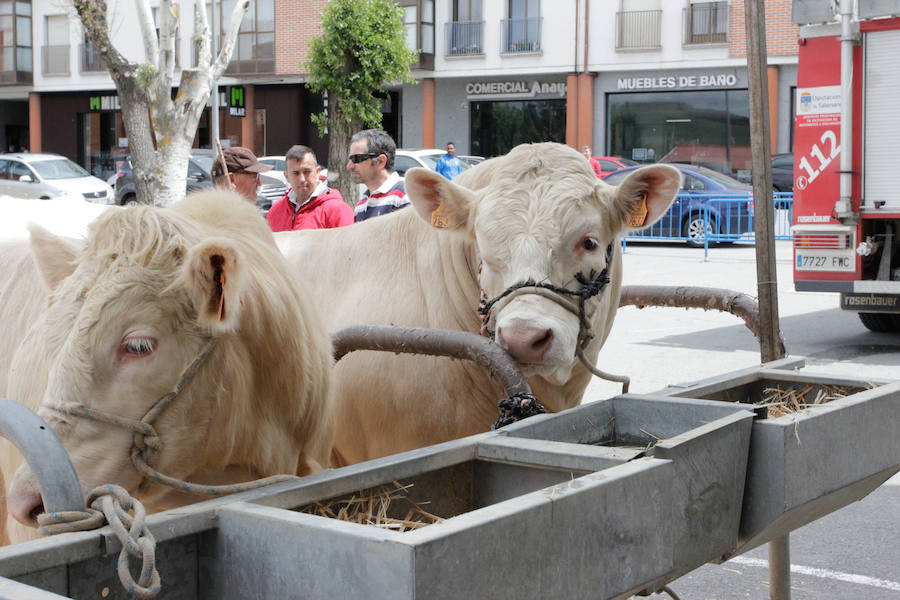 El mayor número de cabezas de ganado y de visitantes animan al alcalde a seguir apostando por un evento «que cada año ha ido a más»