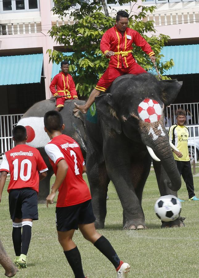 Elefantes y sus entrenadores juegan al fútbol con estudiantes durante un evento promocional de la Copa Mundial de la FIFA 2018 en una escuela en la provincia de Ayutthaya, al norte de Bangkok (Tailandia)
