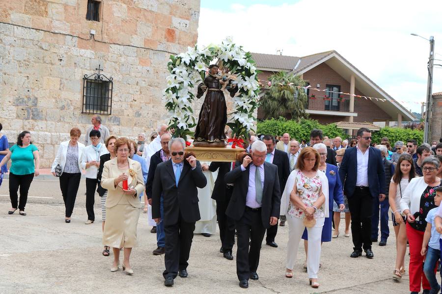 Fotos: Soto de Cerrato festeja San Antonio de Padua