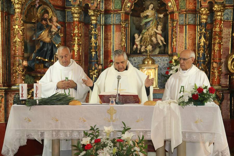 Fotos: Soto de Cerrato festeja San Antonio de Padua