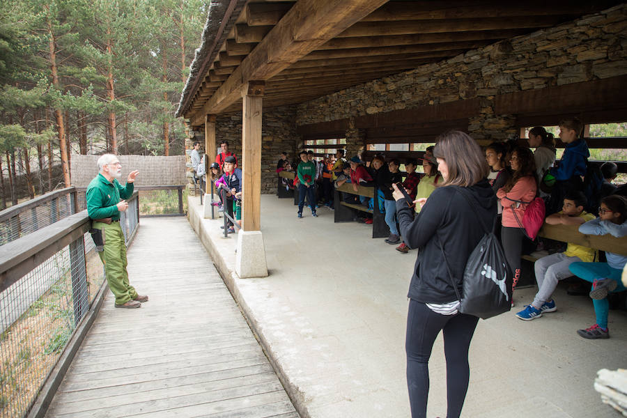 Fotos: Más de 80.000 personas visitan el Centro del Lobo desde su apertura en 2015