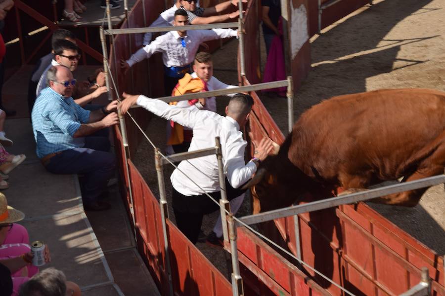 Fotos: Espectáculo de cortes en Guardo