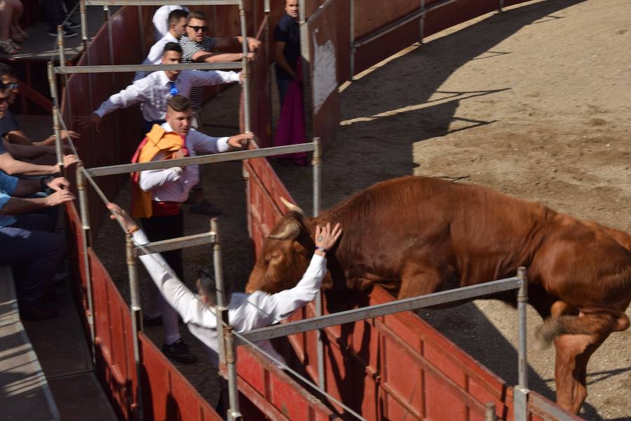 Fotos: Espectáculo de cortes en Guardo