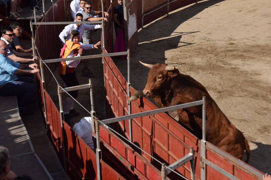 Fotos: Espectáculo de cortes en Guardo
