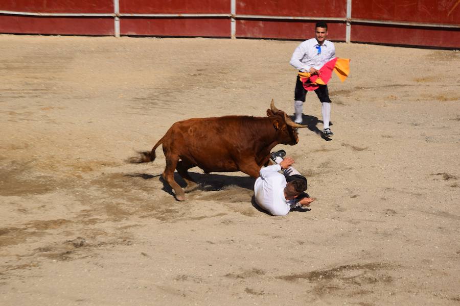 Fotos: Espectáculo de cortes en Guardo