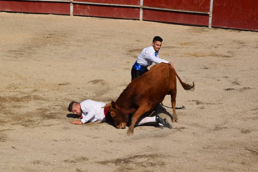 Fotos: Espectáculo de cortes en Guardo