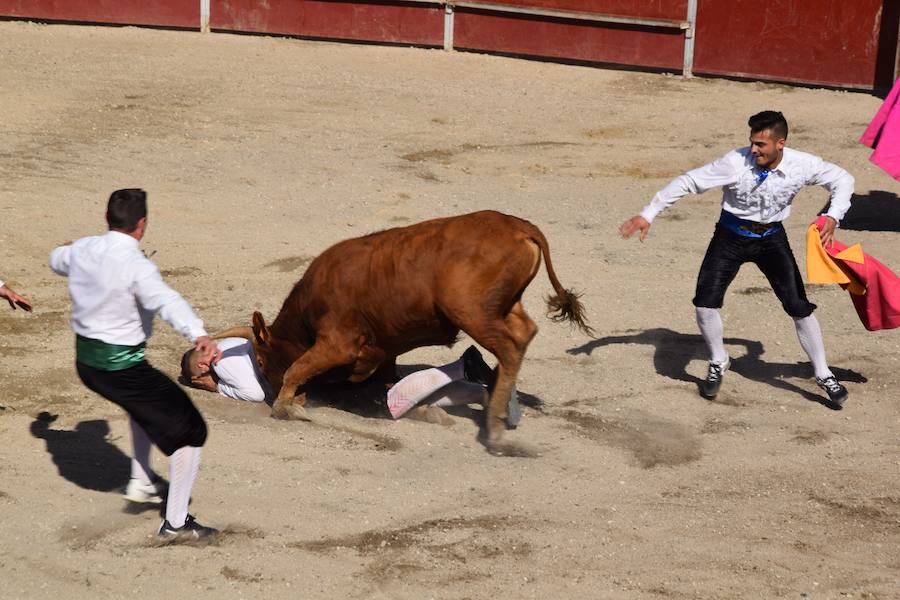 Fotos: Espectáculo de cortes en Guardo