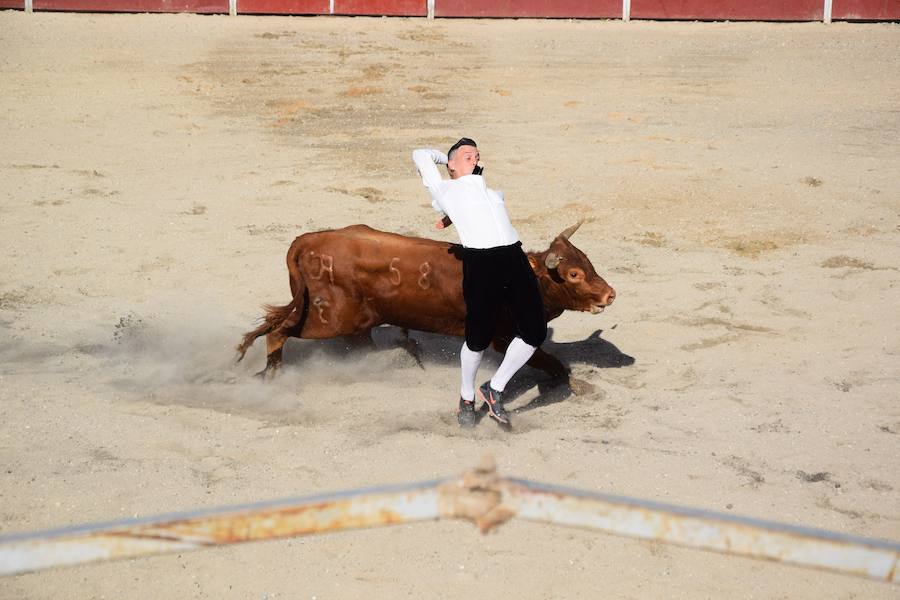 Fotos: Espectáculo de cortes en Guardo