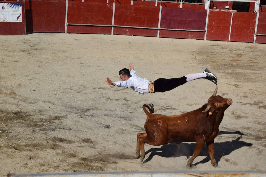 Fotos: Espectáculo de cortes en Guardo